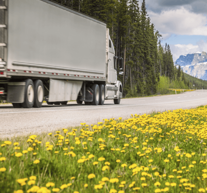 truck driving with surrounded by woods and flowers and mountains
